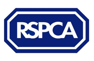 Ex-Charity Directors Face 44 Cruelty Charges in RSPCA Case